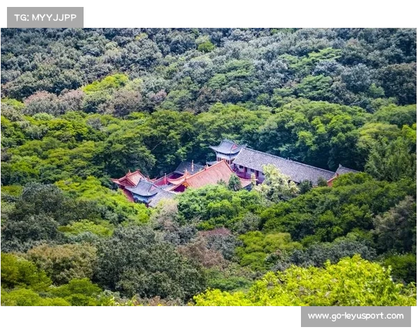 皇藏峪13公里跑山徒步挑战穿越古树林海尽享自然美景累计爬升582米 皇藏峪13公里跑山徒步挑战穿越古树林海尽享自然美景累计爬升582米